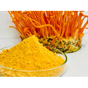 Các Cách Sử Dụng Đông Trùng Hạ Thảo